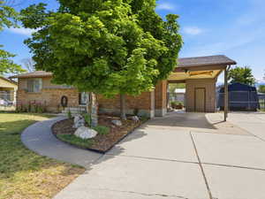 Brick exterior with a covered carport, mature trees, concrete walkway, concrete driveway, and established landscaping beds