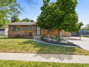 Brick exterior with a security screen door, mature front yard trees, a concrete walkway, and a paved driveway leading to a carport