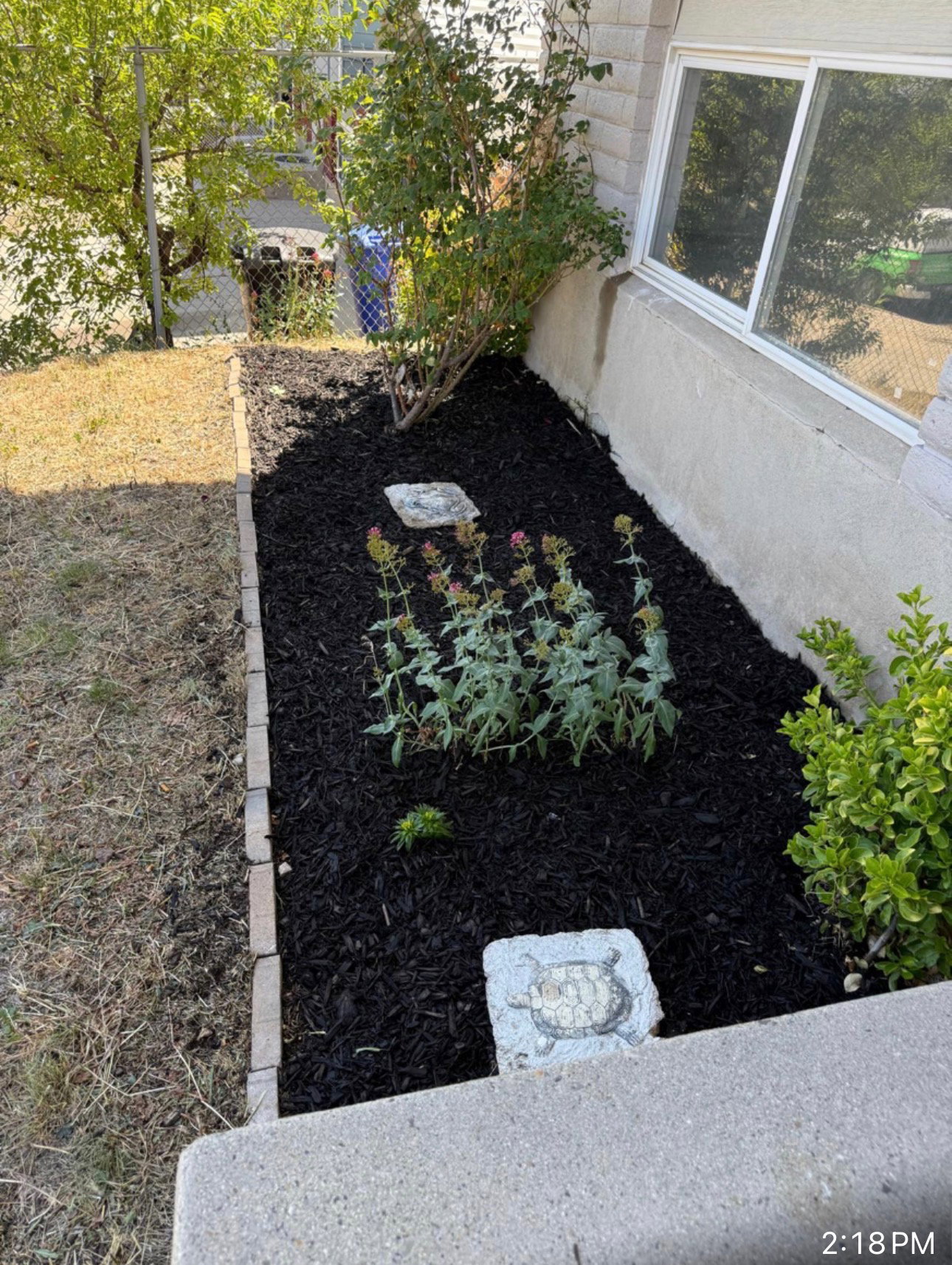 Landscaped garden bed featuring dark mulch, decorative plantings, and a stone border