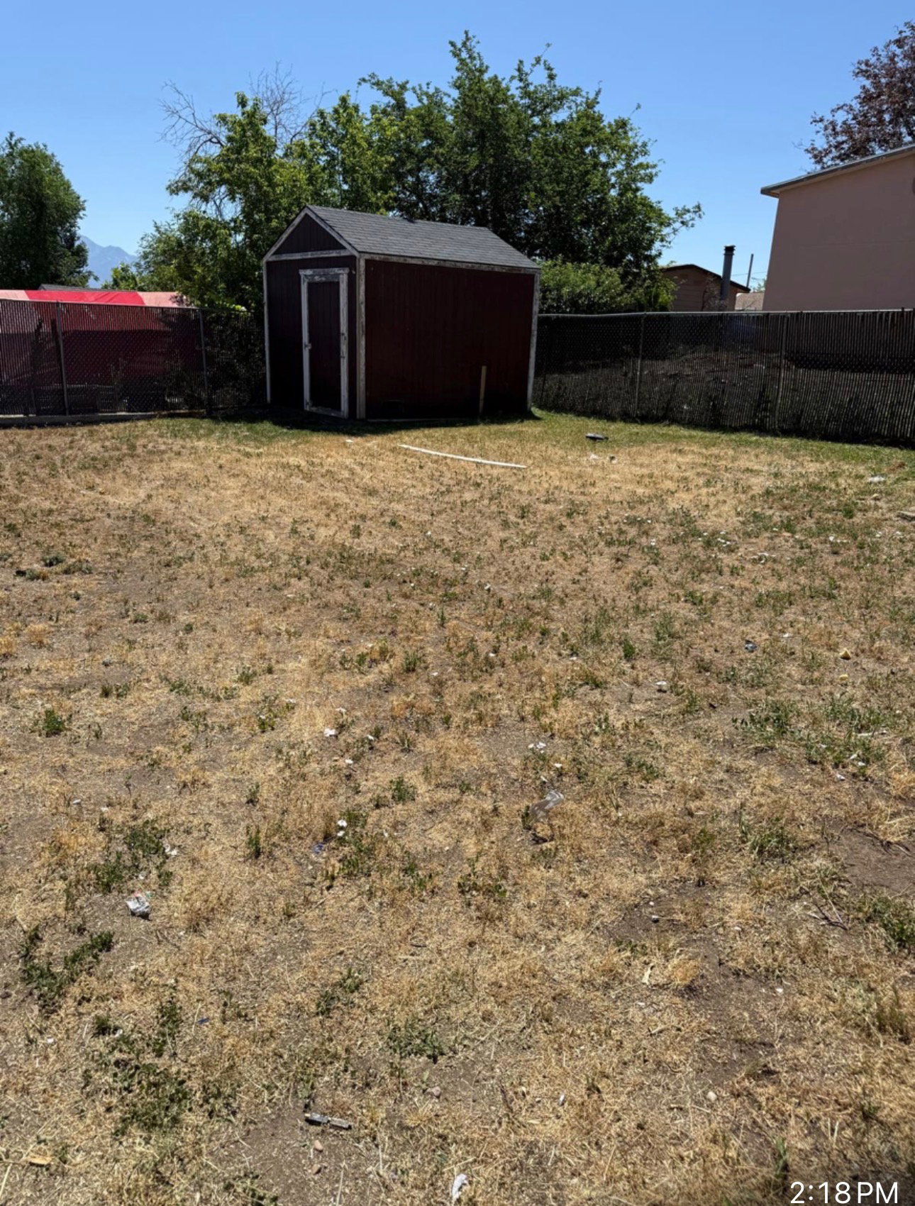 Spacious backyard featuring a storage shed with a dark exterior and a sloped roof