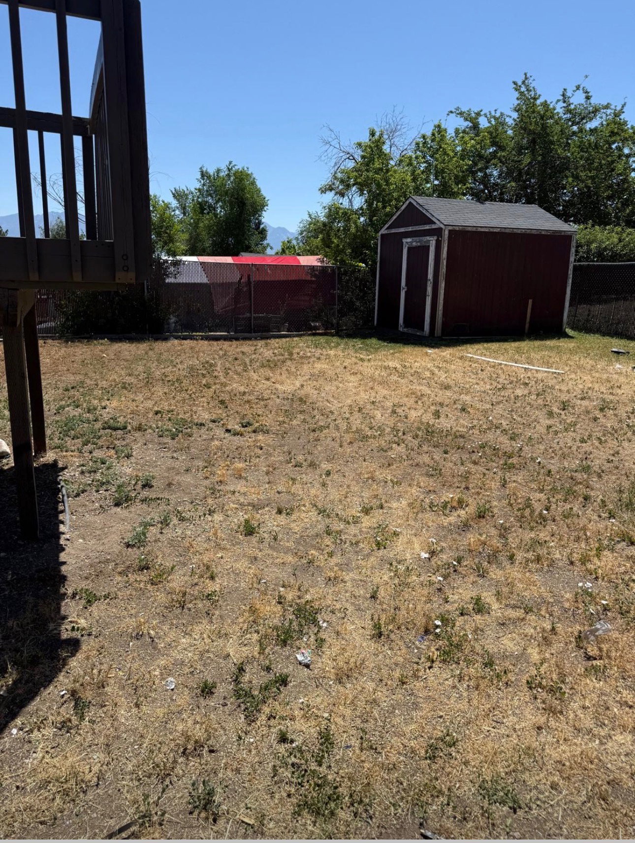 Backyard space featuring a detached storage shed, perimeter fencing, and mature trees