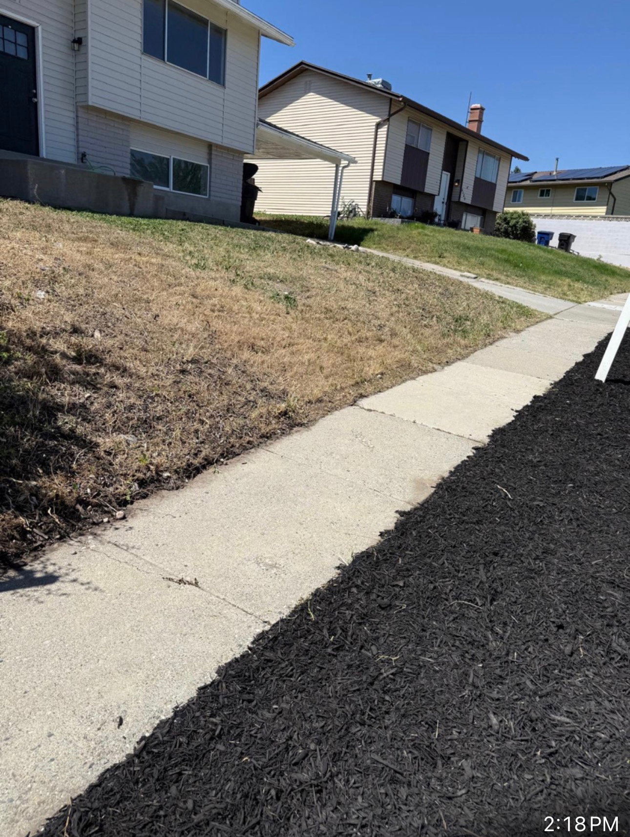 Sidewalk entry featuring new black mulch landscaping