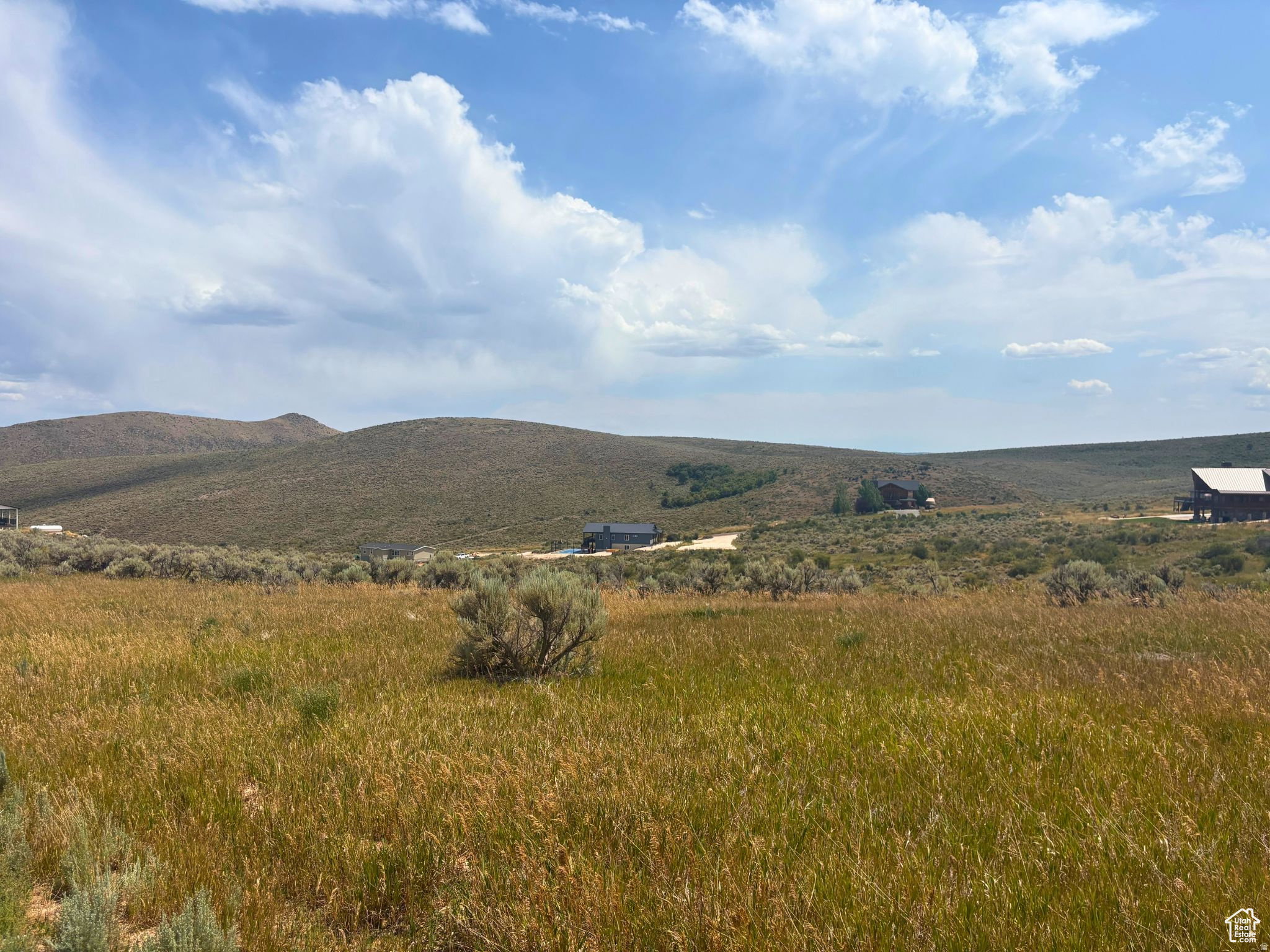 Expansive grass and brush land with rolling hills in the background