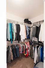 Walk-in closet featuring carpet flooring, white walls, and built-in white wire shelving with hanging rods