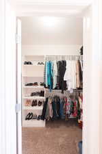 Spacious walk-in closet featuring built-in shelving, multiple hanging rods, and neutral-toned carpet flooring