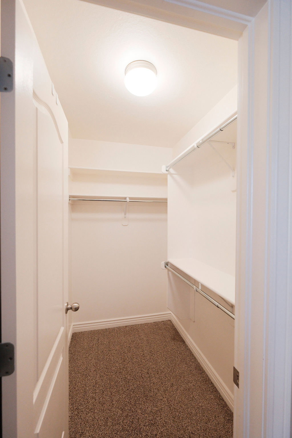 Open closet featuring a light fixture, carpet flooring, base molding, and wire shelving with hanging rods