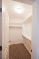 Open closet featuring a light fixture, carpet flooring, base molding, and wire shelving with hanging rods