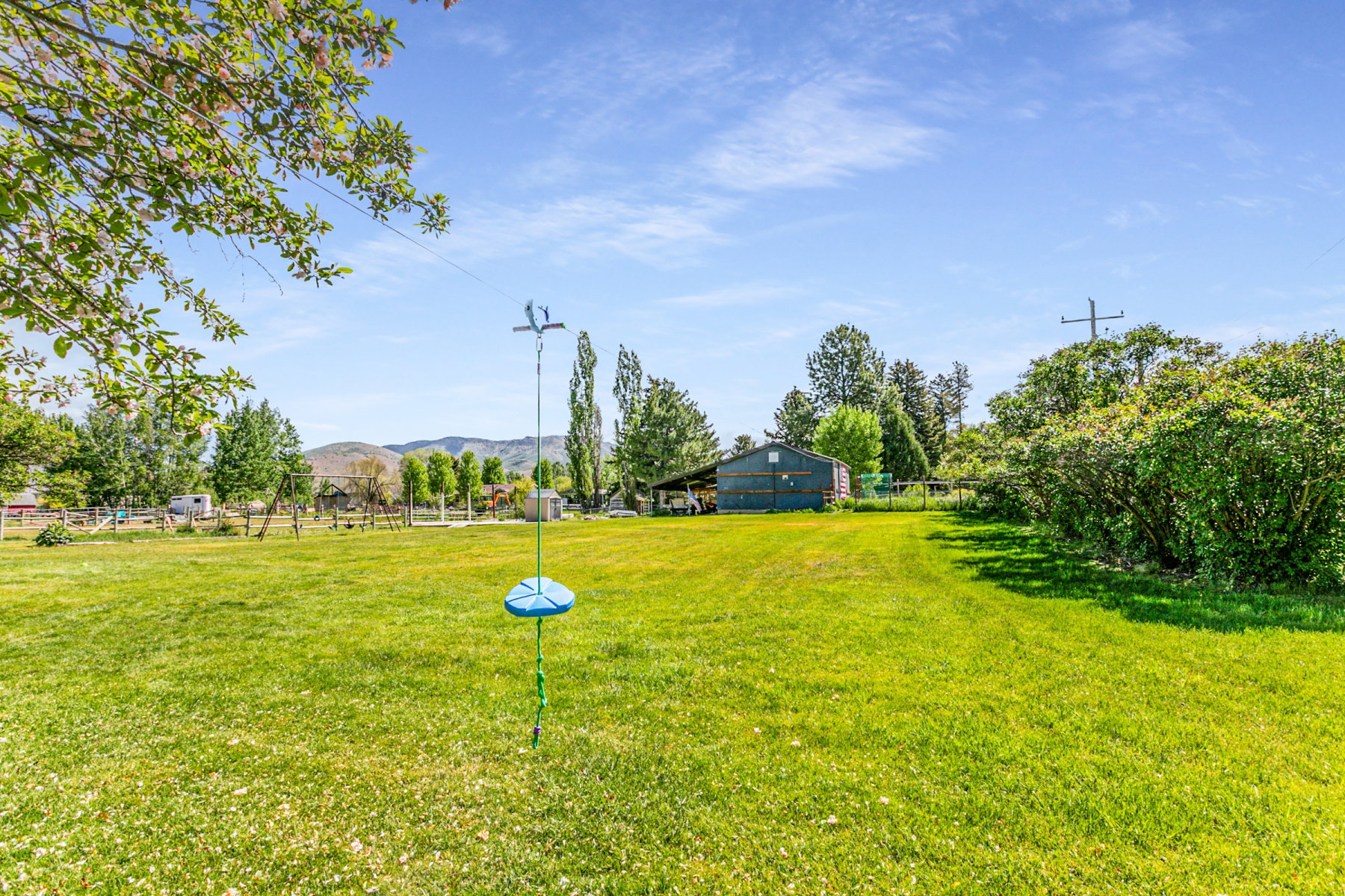 Expansive green lawn with mature trees and a distant outbuilding
