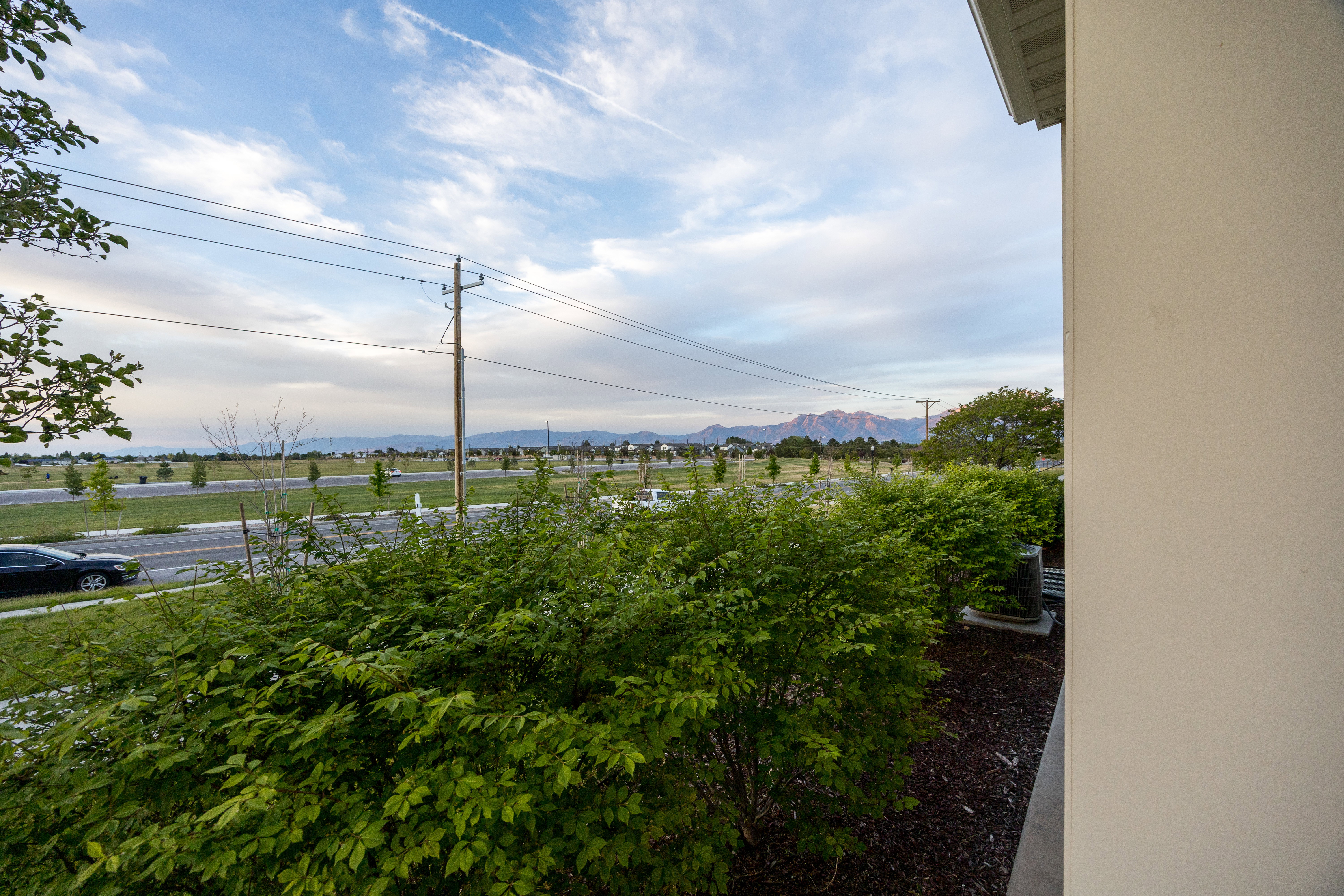 Manicured shrubbery bordering the property
