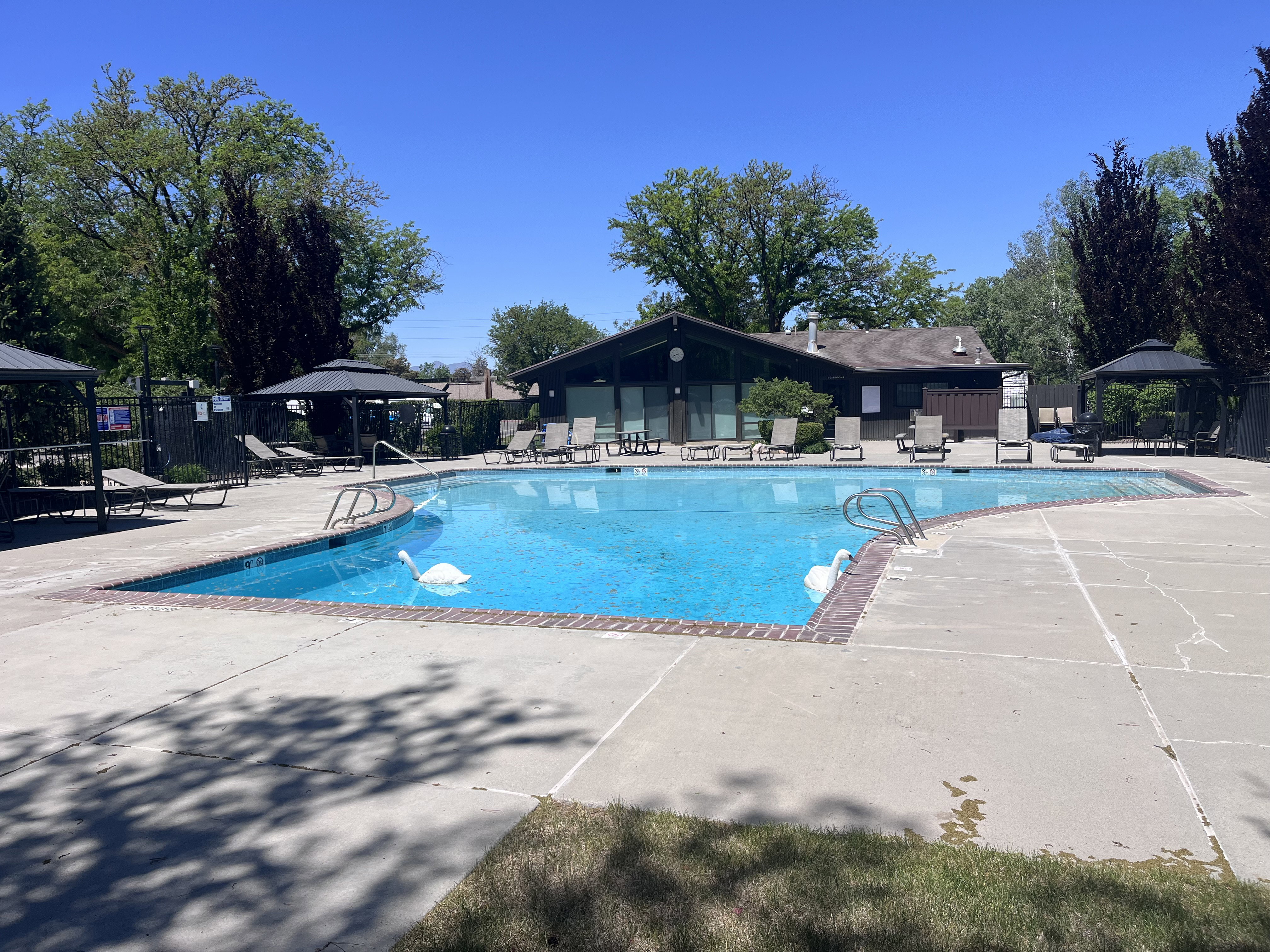 Outdoor swimming pool large gathering area to lay out or entertain