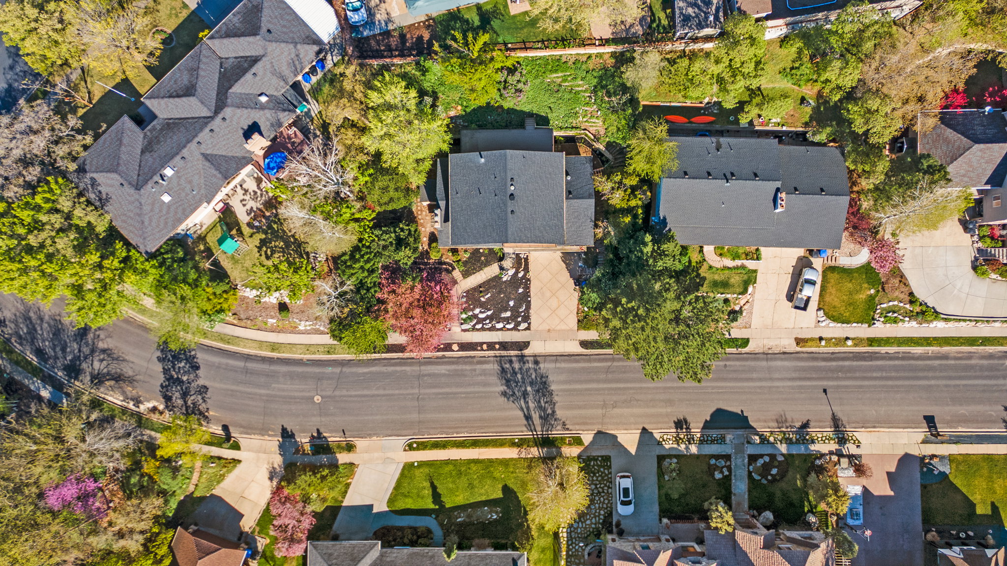 Aerial perspective showcasing a residential street with mature landscaping