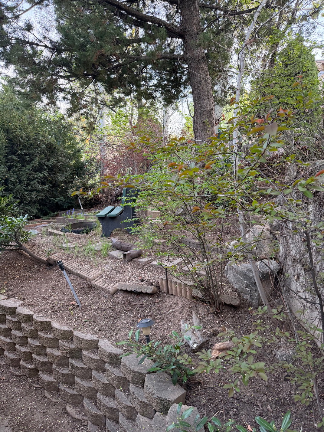 Tiered landscaping featuring a retaining wall, mature trees, and established shrubbery