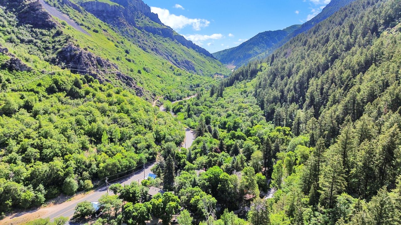 Mountain valley setting featuring dense evergreen forests and a winding road
