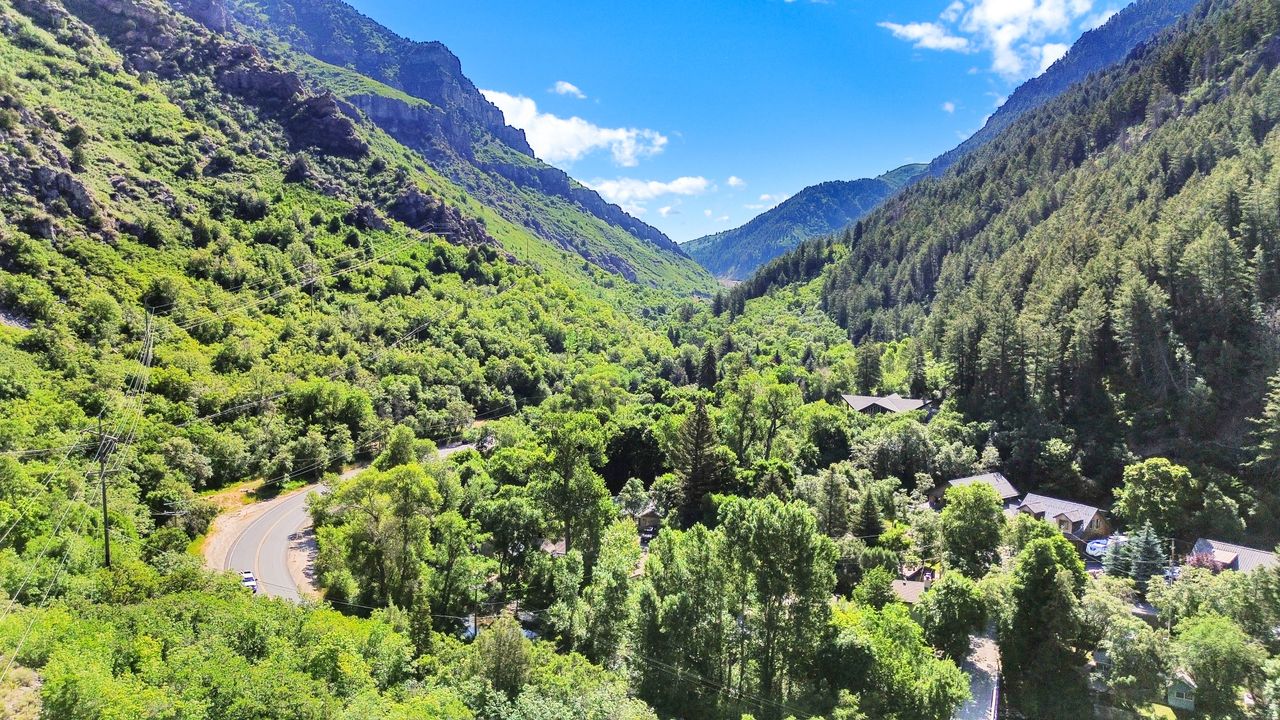 Lush mountain valley setting with abundant green foliage and mature trees