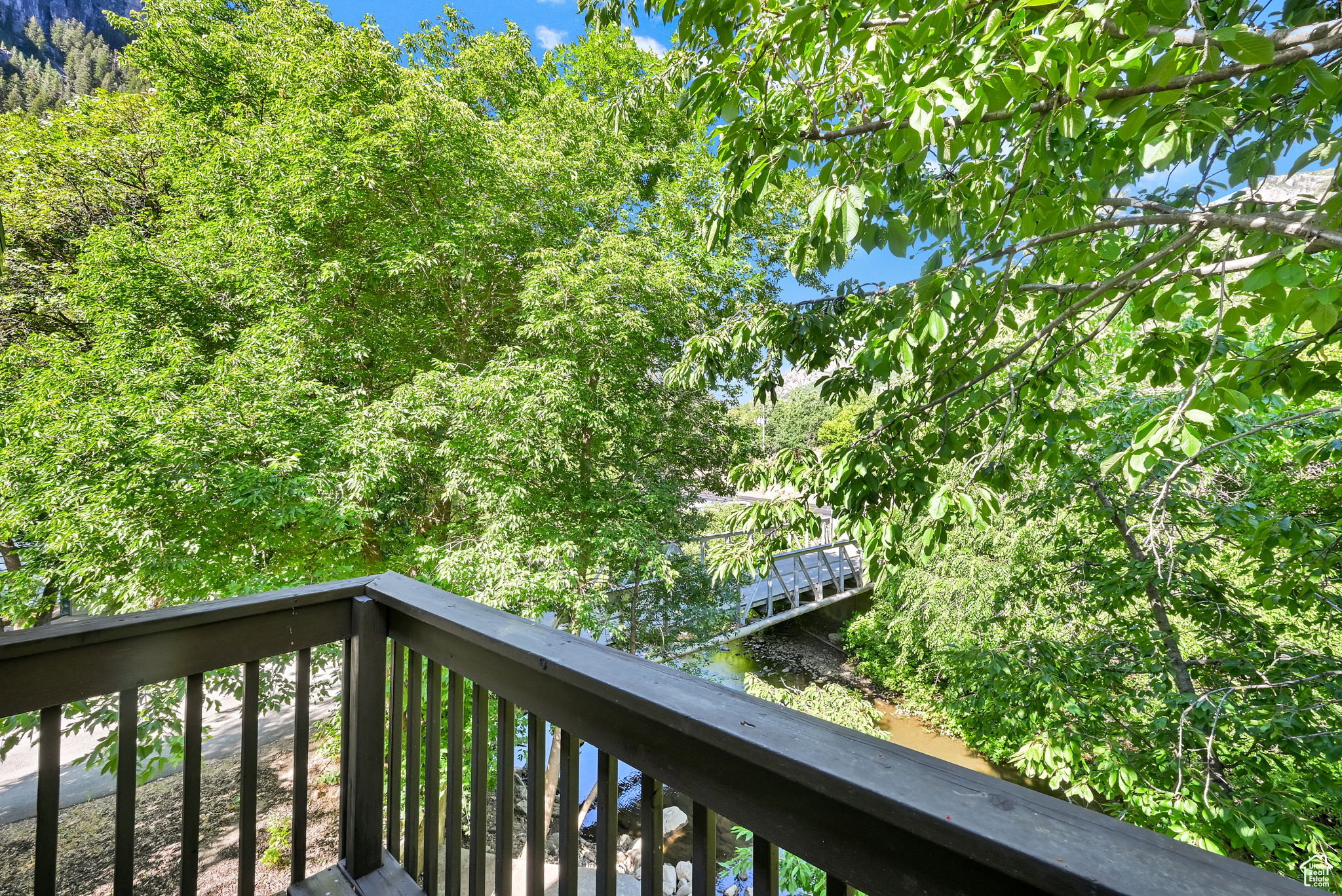Balcony with dark wood railing providing a tree-lined river backdrop and distant mountain scenery