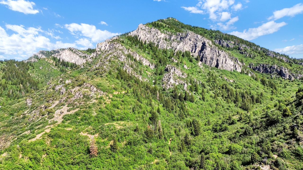 Mountainous terrain featuring diverse foliage, rock formations, and clear skies