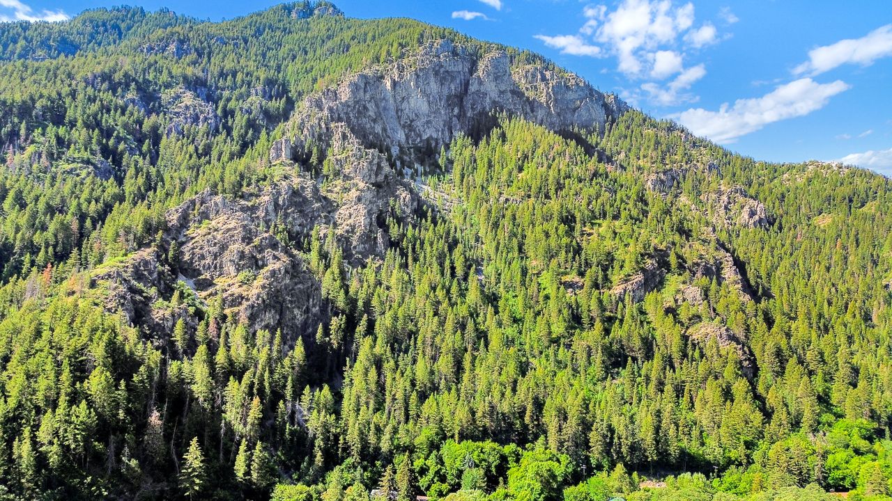 Mountainous terrain featuring dense evergreen forests and exposed rock faces