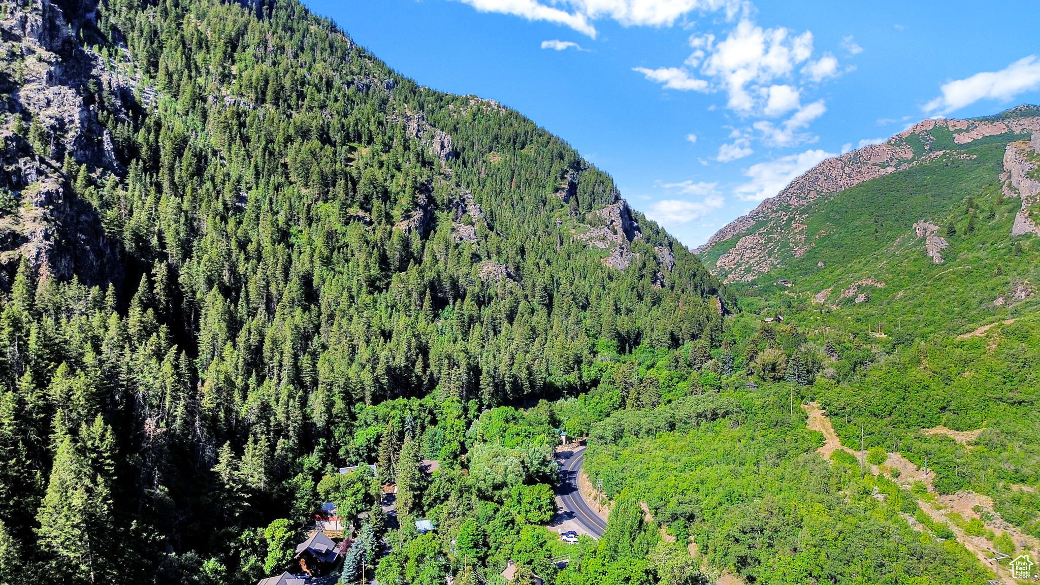 Mountain valley setting with a winding road and lush tree coverage