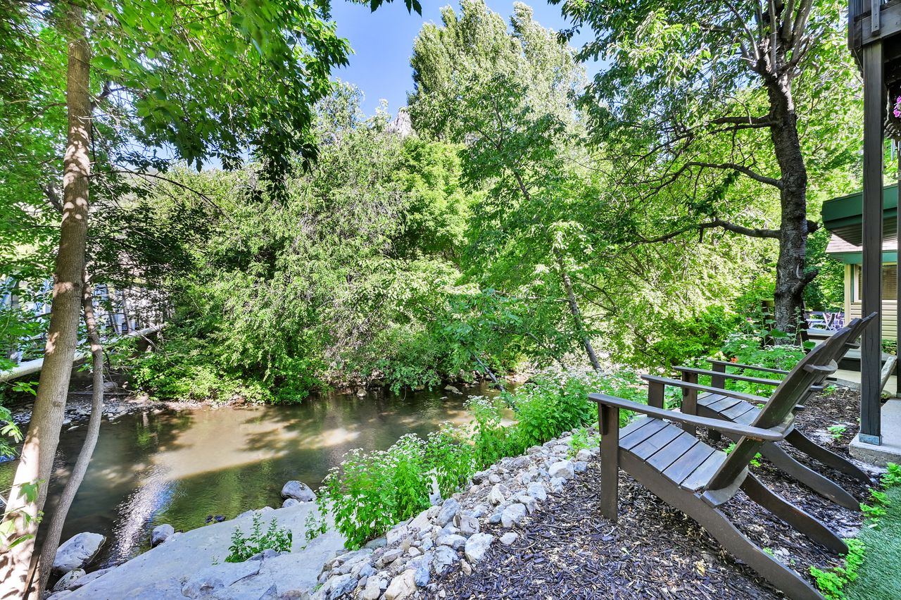 Waterside setting featuring a natural bank, mature trees, and lush vegetation