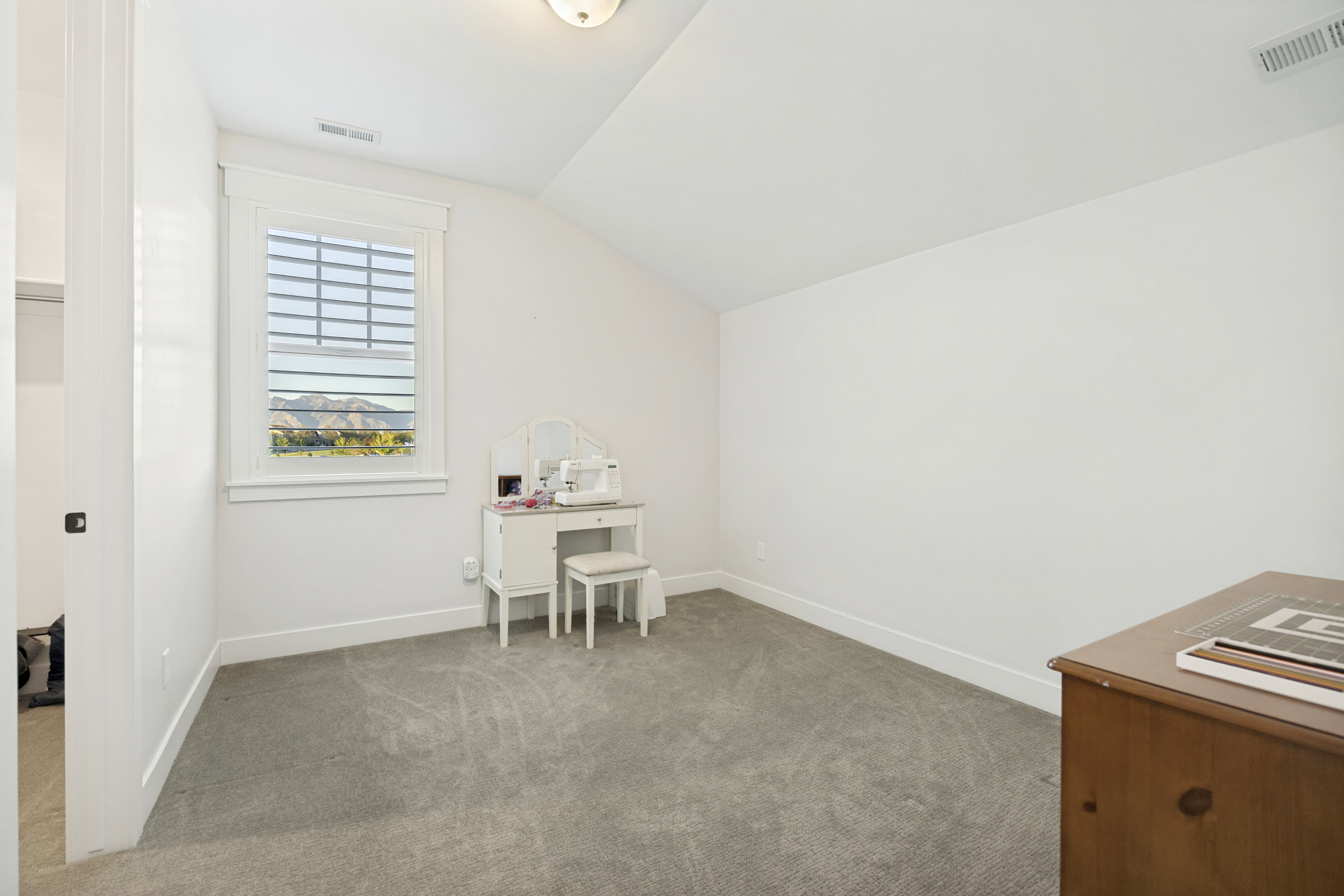Bright room featuring a window with horizontal blinds, sloped ceiling detail, and plush carpet flooring