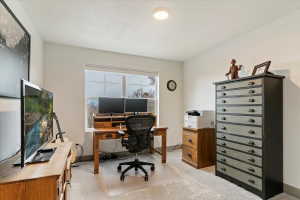 Bright room featuring a window, light-colored walls, and carpet flooring