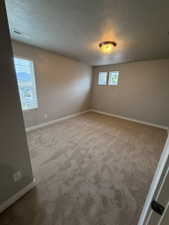 Carpeted room featuring multiple windows, a ceiling-mounted light fixture, and neutral-toned walls