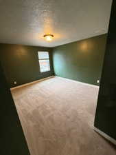 Spacious room with plush carpeting, deep green walls, and a single window with blinds