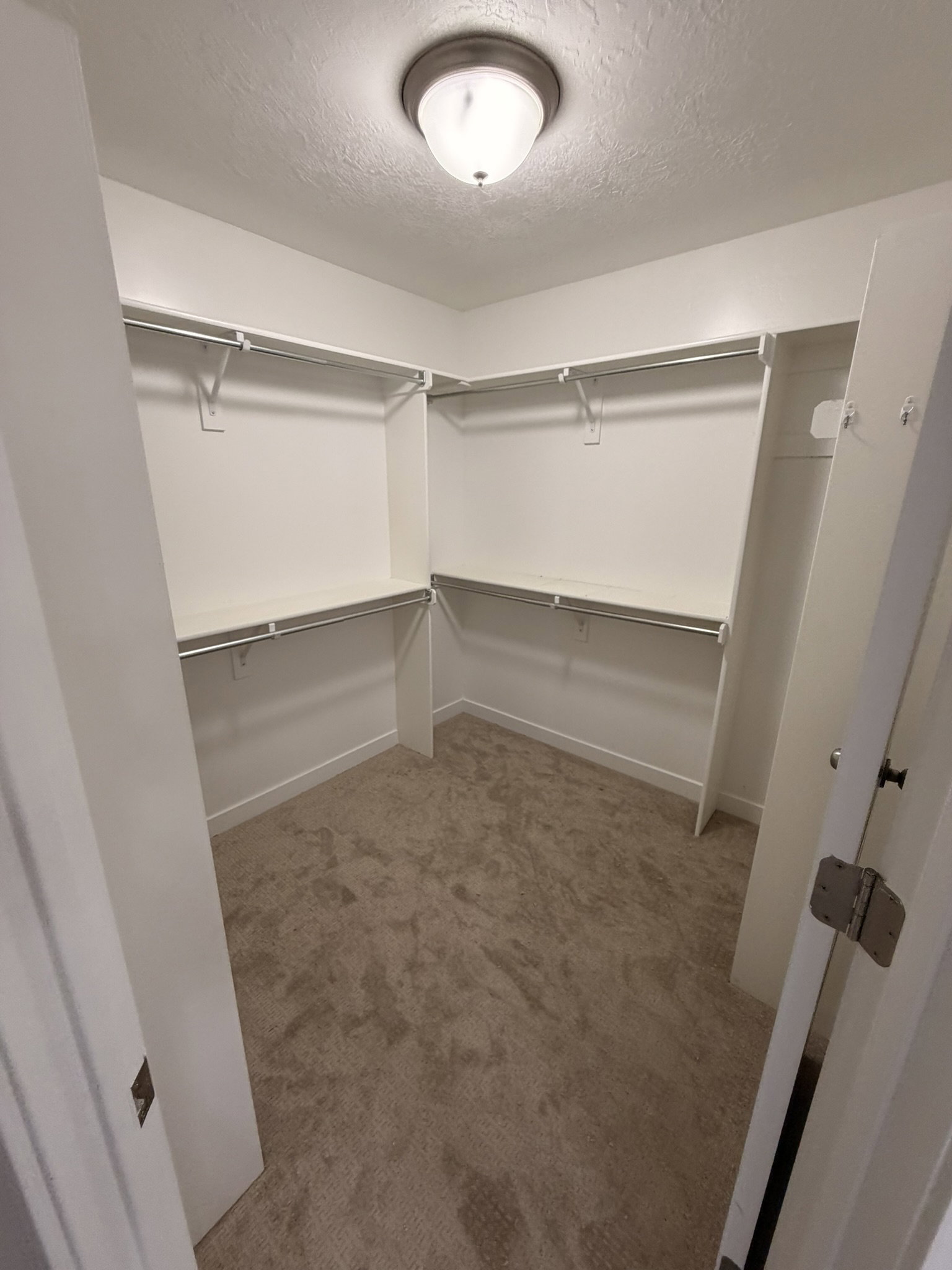 Spacious walk-in closet featuring white built-in shelving, chrome hanging rods, and neutral-toned carpeting
