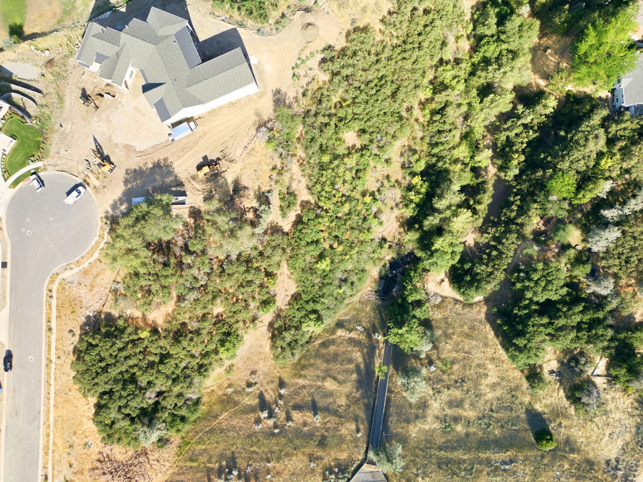 Expansive undeveloped lot featuring mature trees and varied topography