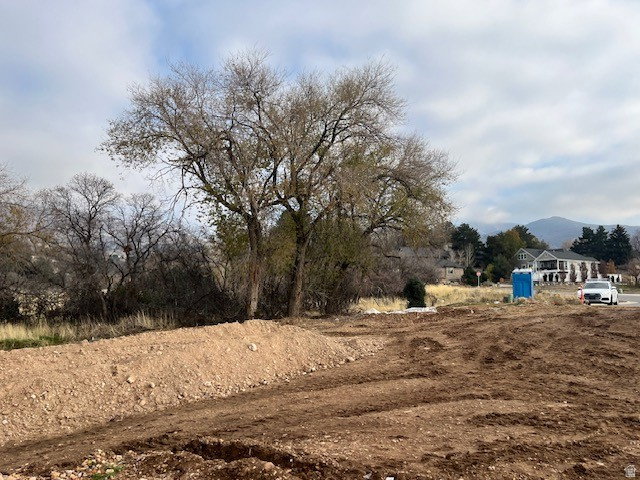 Expansive graded lot featuring mature trees and a distant mountain backdrop