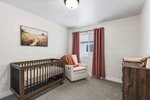 Neutral wall paint with textured carpeting