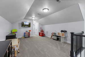 Carpeted upper-level bonus room with sloped ceilings, light gray wall paint, and white trim