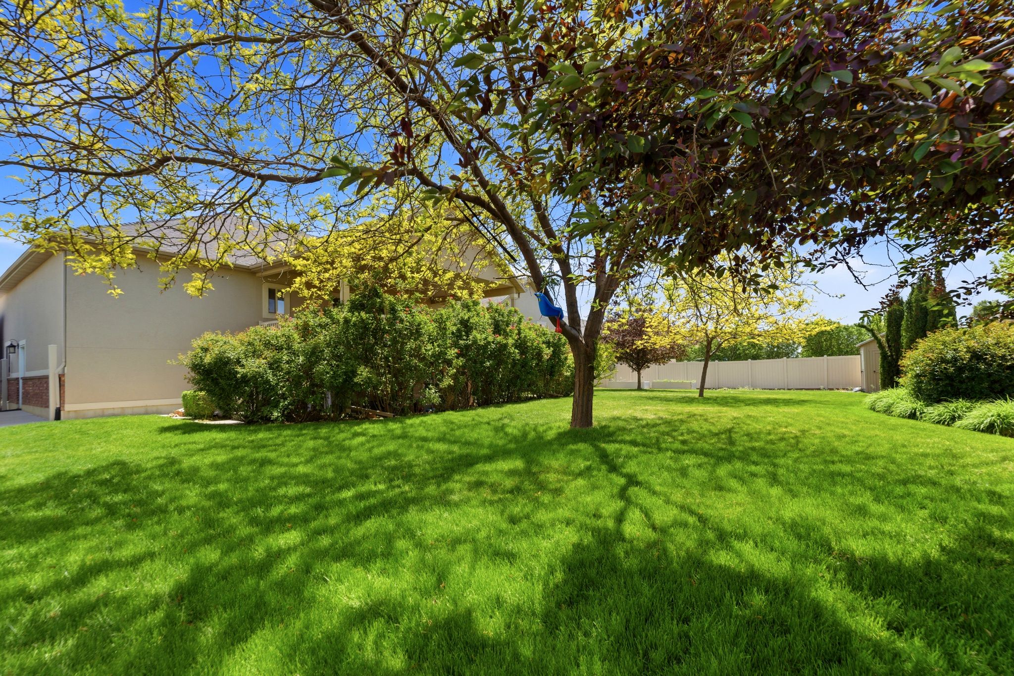 Expansive green lawn with mature trees providing dappled shade