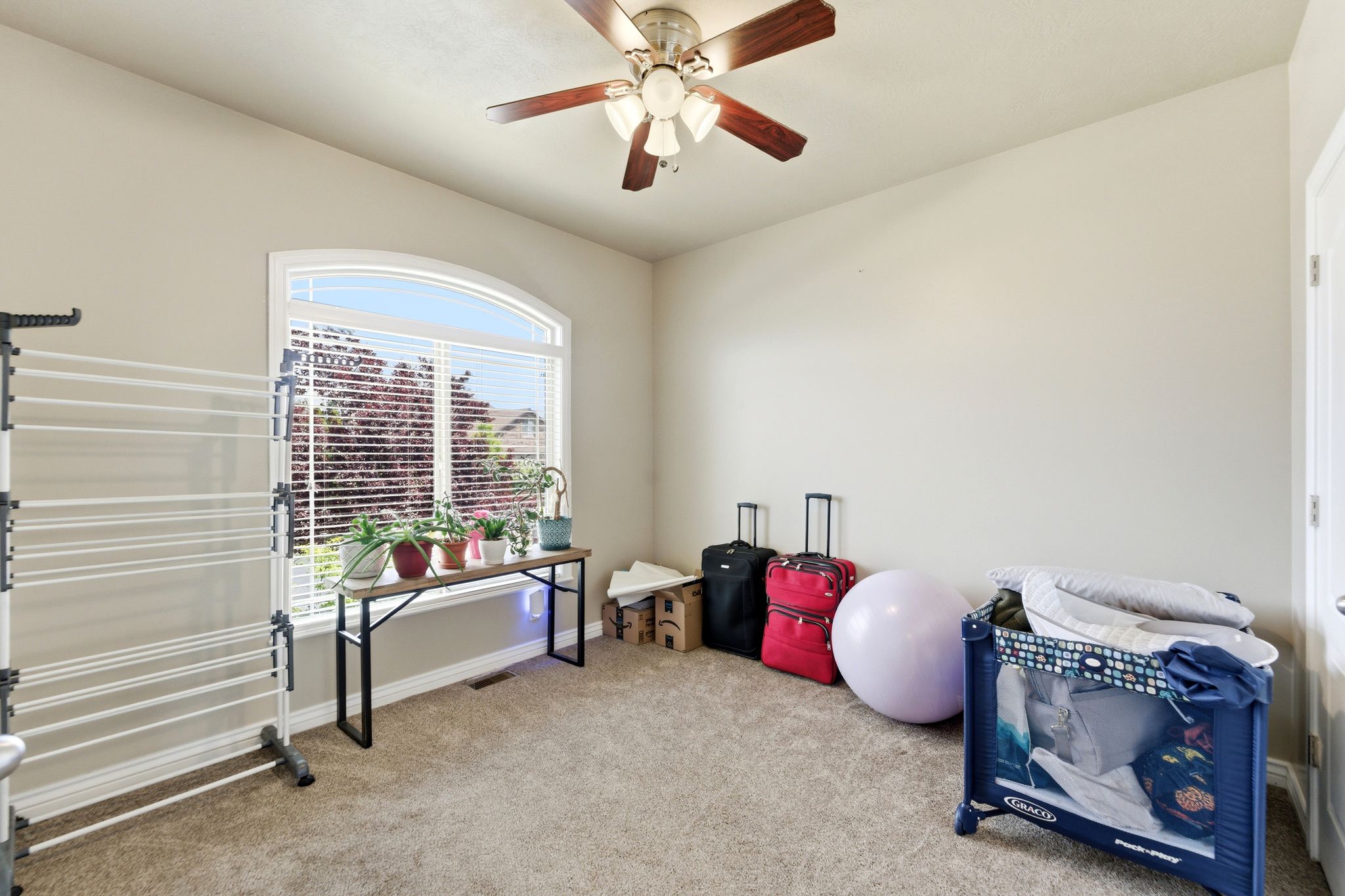 Carpeted room featuring a large arched window with blinds, a ceiling fan with light fixture, and neutral painted walls