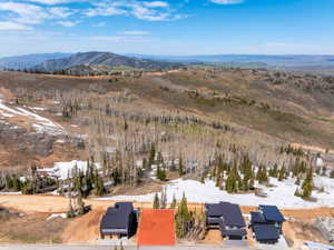 Mountainous landscape with sparse trees and snow patches