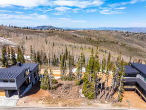 Expansive mountain landscape with diverse tree coverage