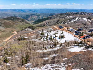 Mountainous terrain featuring scattered evergreen and deciduous trees