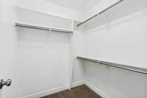 Walk-in closet featuring white painted walls and trim, brown carpet flooring, and multiple built-in shelving units with hanging rods