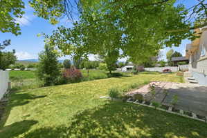 Expansive backyard featuring a large lawn area, mature trees providing natural shade, a stone patio, and a white privacy fence