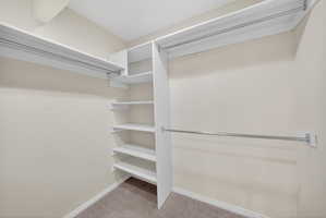 Walk-in closet featuring white built-in shelving, multiple hanging rods, and neutral carpet flooring