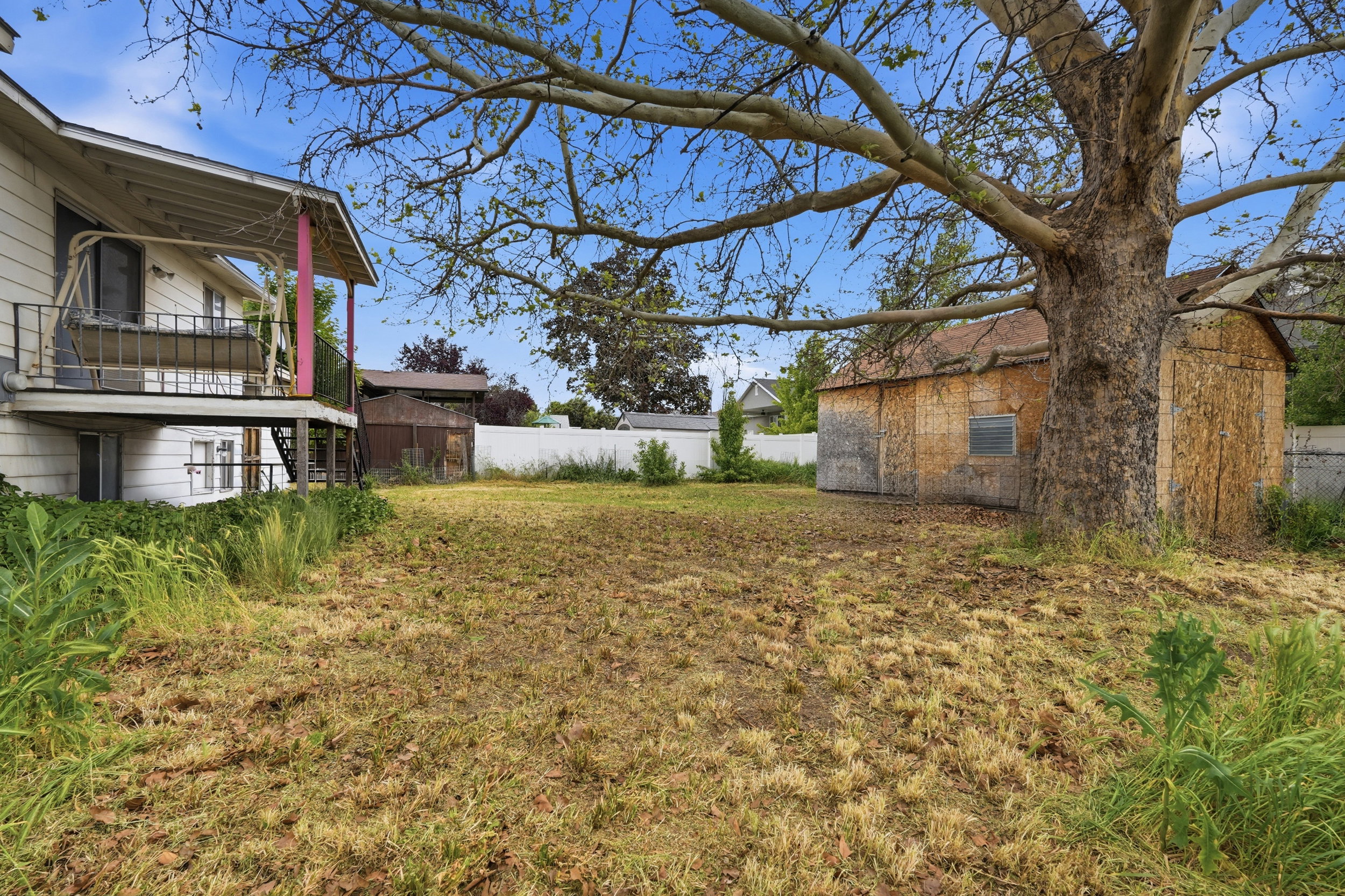 Spacious backyard featuring a large mature tree, white privacy fencing, and a detached outbuilding