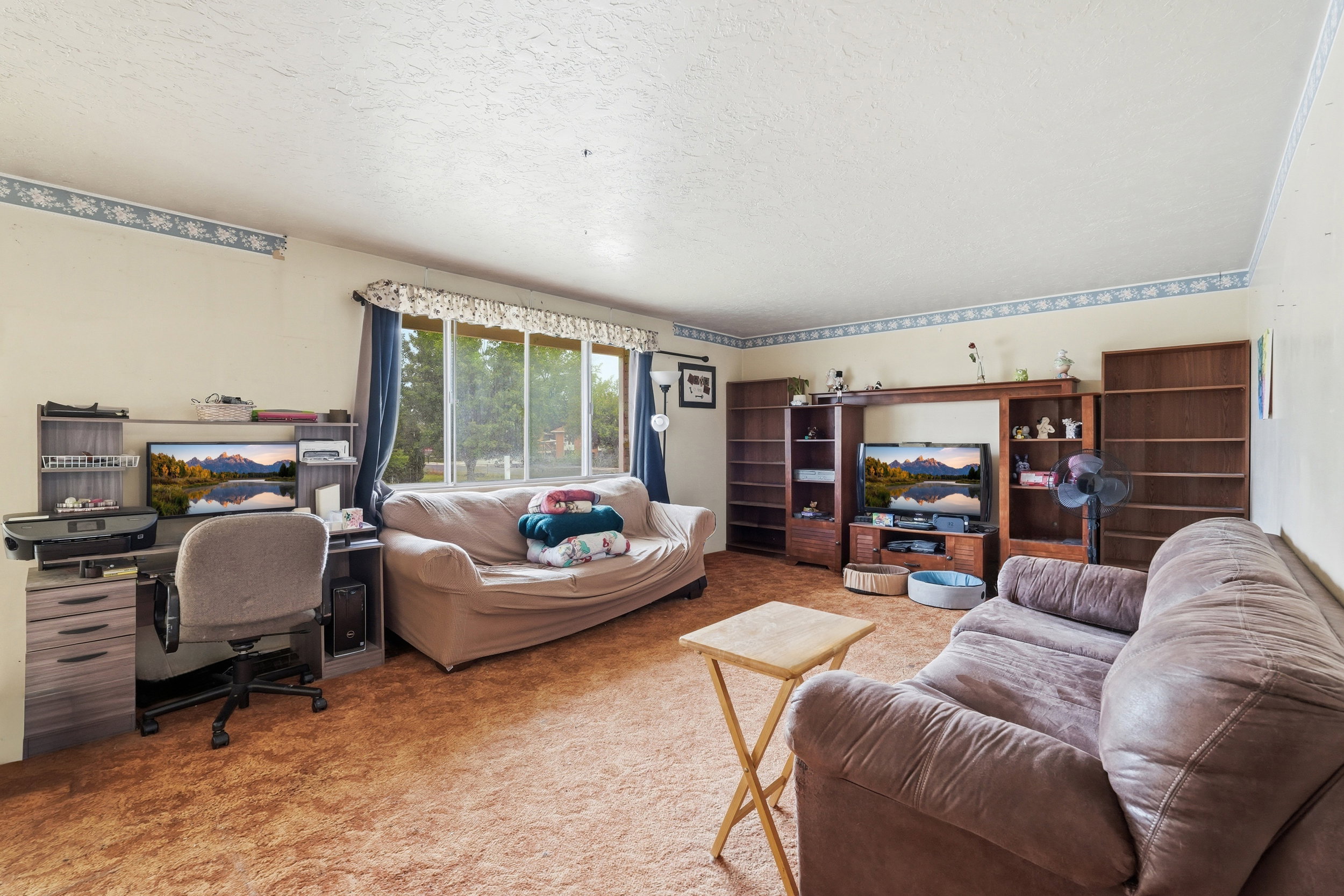 Spacious room featuring broad windows with exterior views, textured beige carpeting, and a built-in media center with shelving