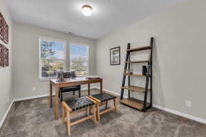 Neutral-toned room featuring a single flush-mount ceiling light fixture, two windows with white blinds, and light gray wall paint