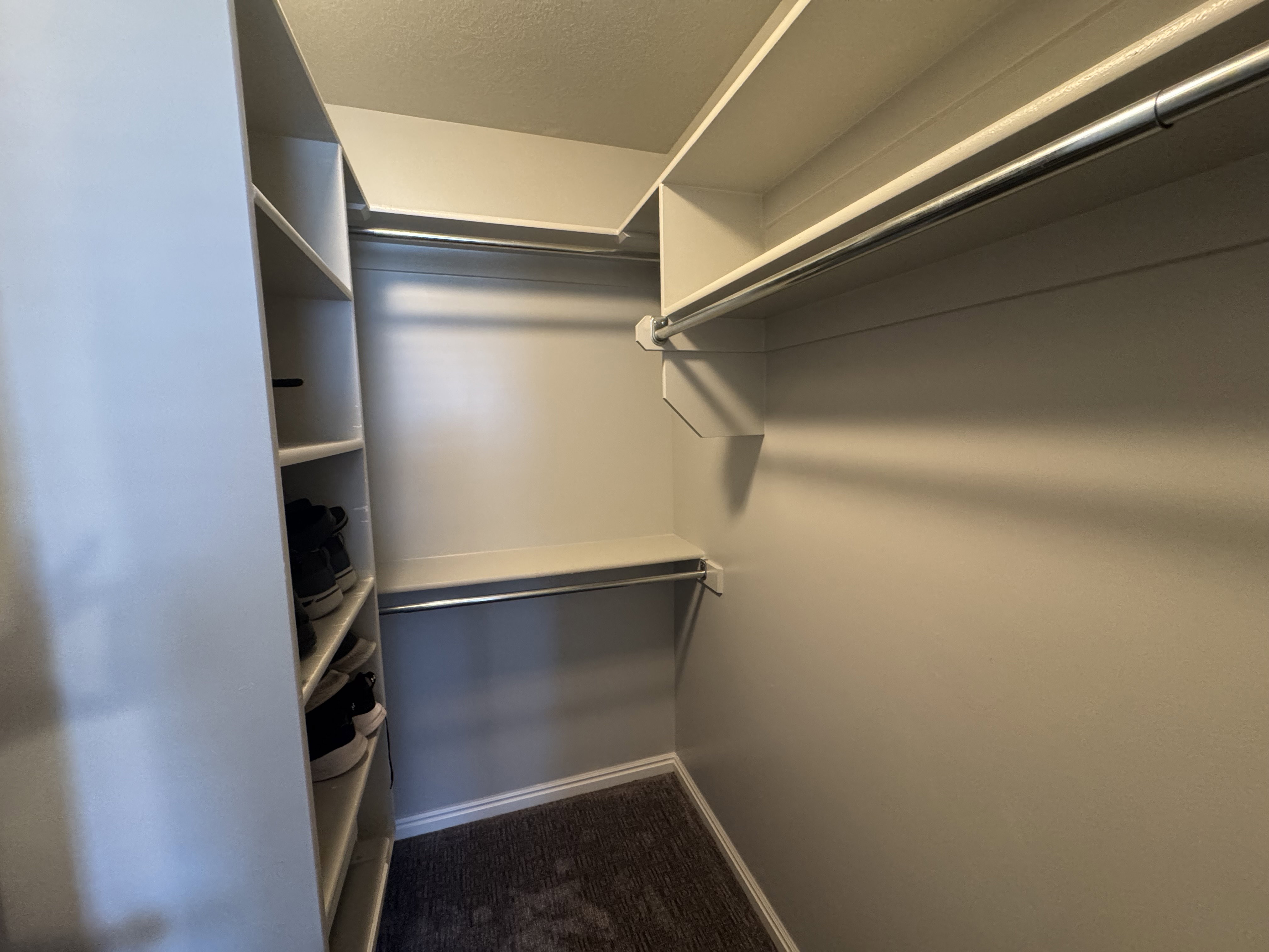 Walk-in closet featuring built-in shelving, multiple hanging rods, and a carpeted floor
