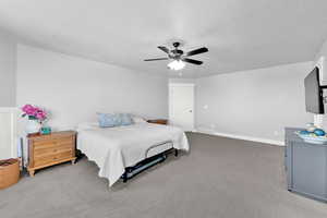 Spacious room featuring light gray walls, textured ceiling, and gray carpeted flooring