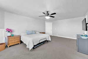 Spacious room featuring light gray walls, gray carpet flooring, a ceiling fan with integrated lighting, white baseboards, and a white paneled door