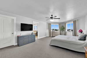 Carpeted room featuring a ceiling fan, two large windows with drapes, and a white paneled wainscoting detail