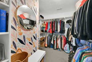 Custom closet system featuring built-in shelving and hanging rods