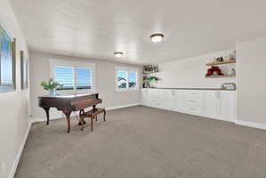 Spacious room featuring light gray carpet, multiple windows with white trim, and a full wall of built-in white cabinetry with a dark countertop