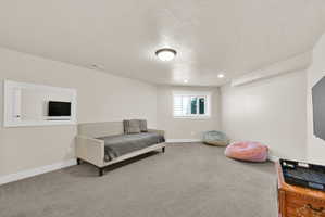 Carpeted room featuring a single window with white shutters, white baseboards, and neutral wall tones